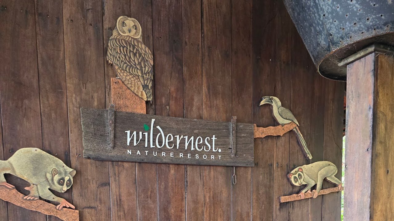 Wildernest Nature Resort Chorla Ghat Goa