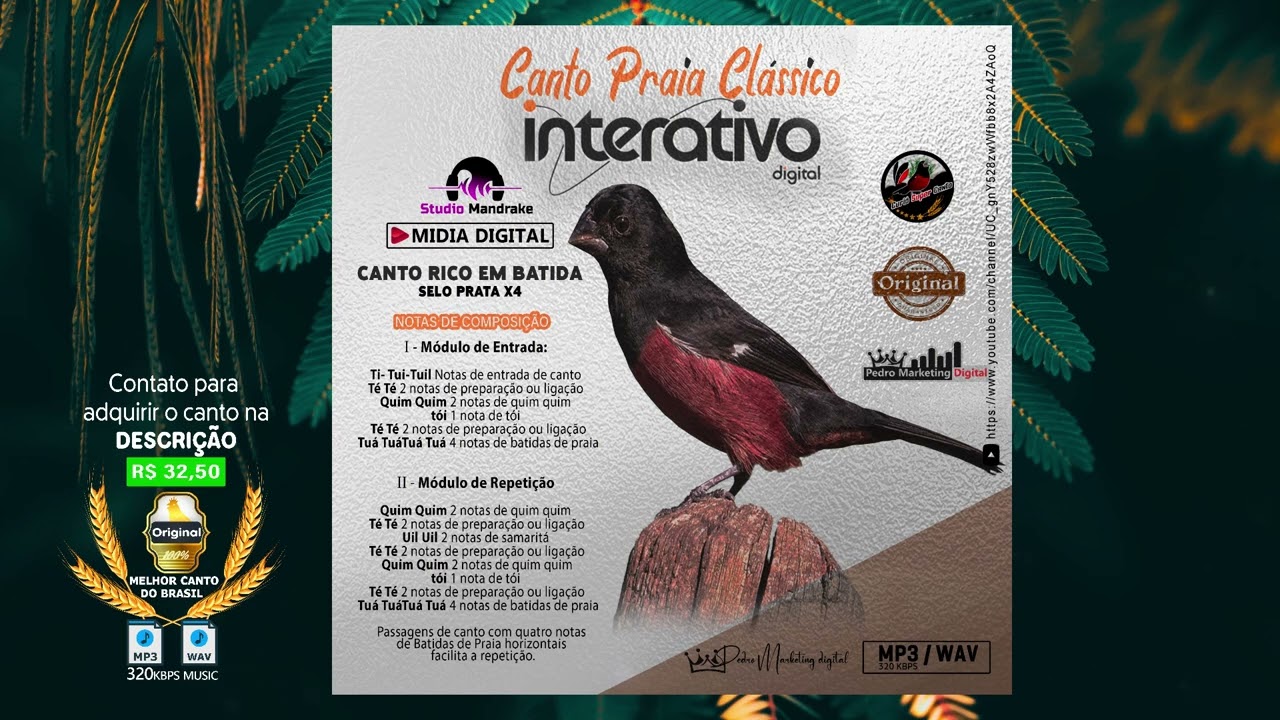 CANTO PRAIA CLÁSSICO SELO PRATA INTERATIVO ORIGINAL ♪