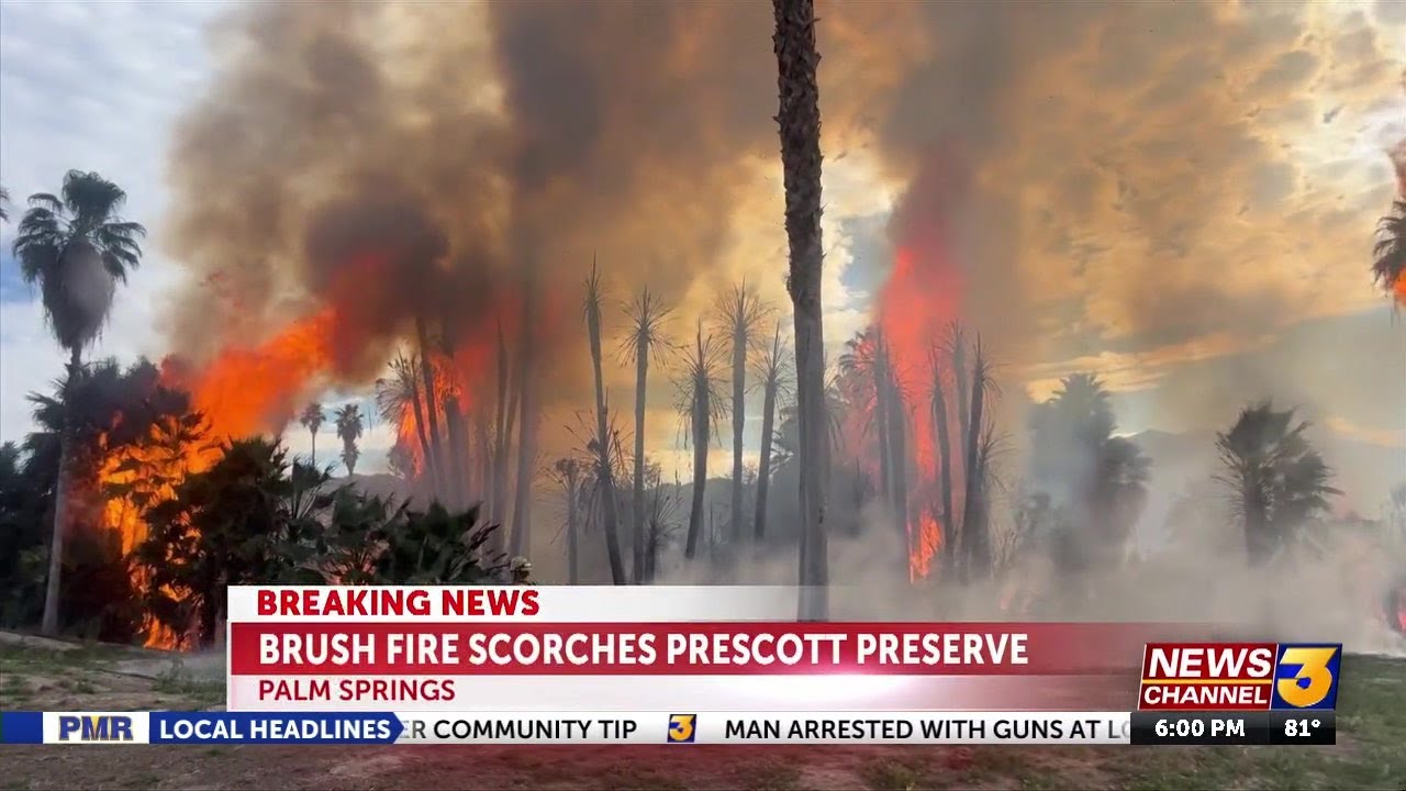 BREAKING: Firefighters battle brush fire on Prescott Preserve in Palm Springs