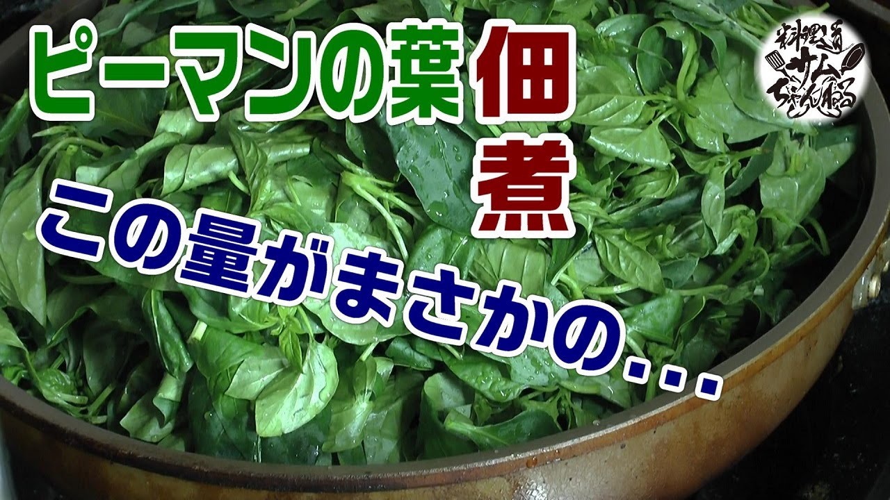 超簡単！ピーマンの葉で【ピーマンの葉、佃煮】を作ってみた。