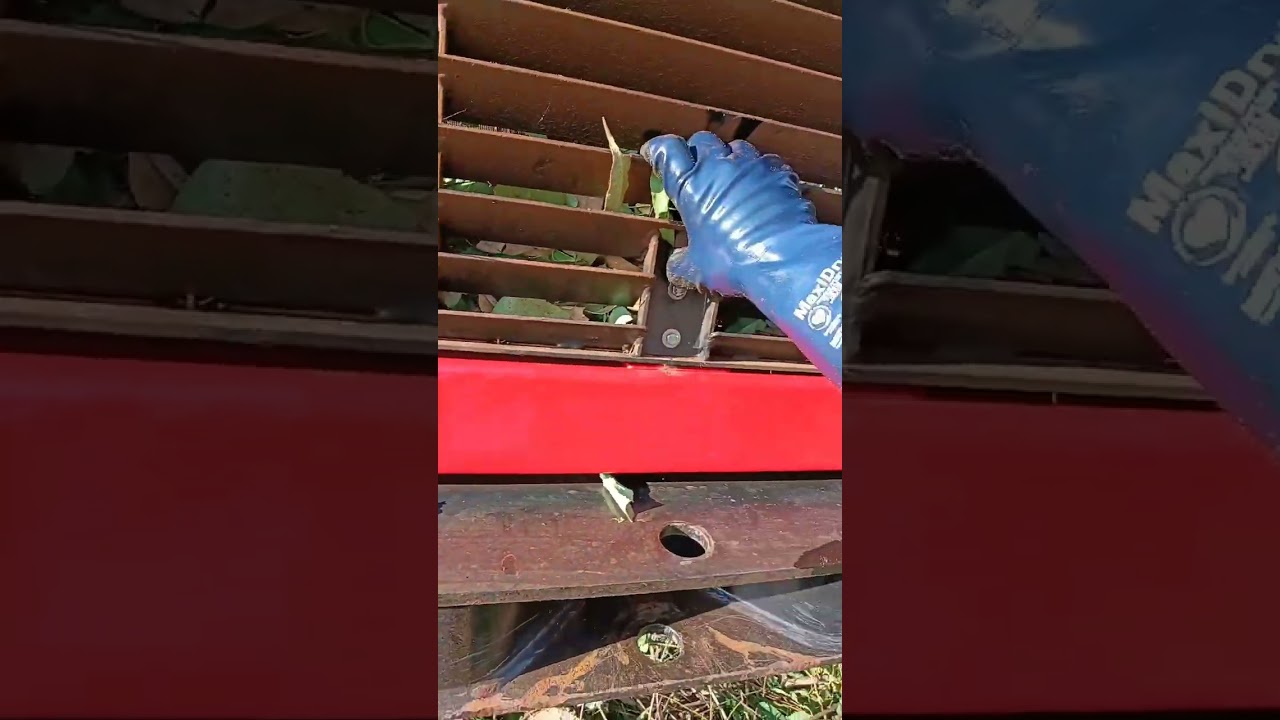 Iníciando o turno, máquina colheita de eucaliptos 