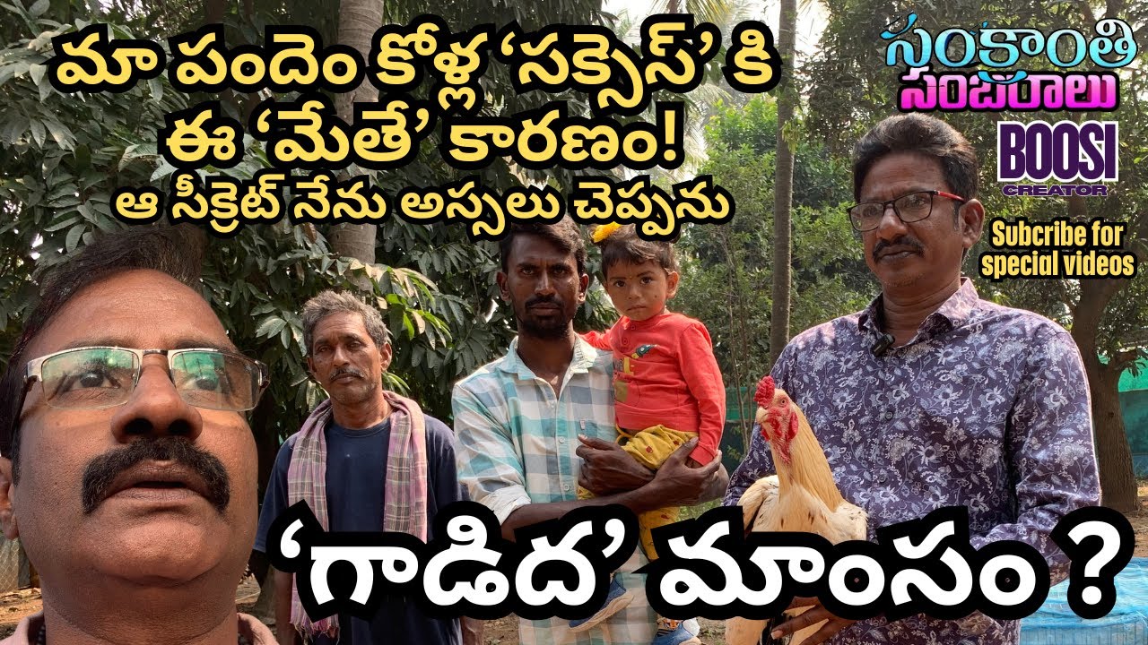 మా పందెం కోళ్ల సక్సెస్ కి ఈ మేతే కారణం. Sankranthi special video.