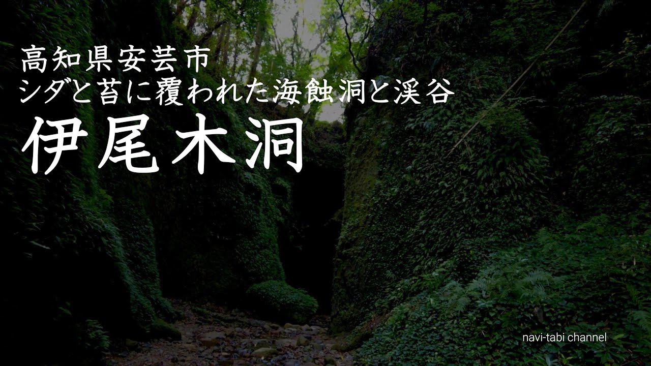 高知県安芸市の海蝕洞　伊尾木洞