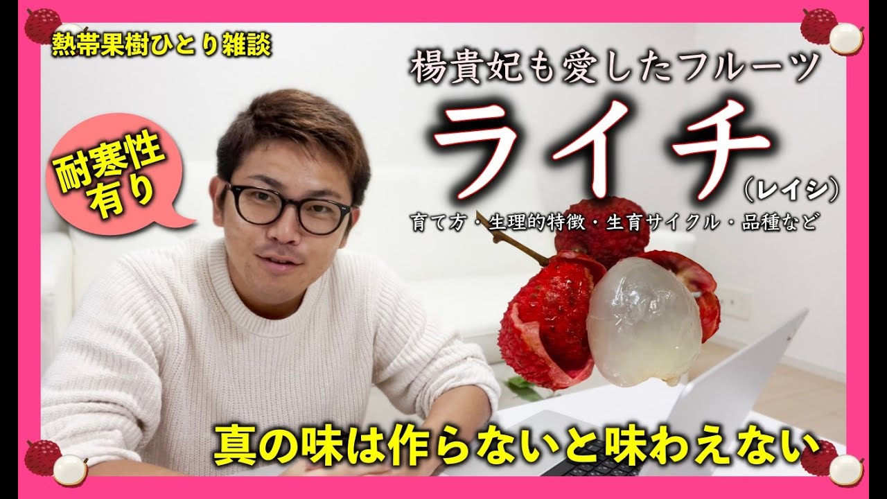 激ウマフルーツ「ライチ（レイシ）」の徹底解説，育て方や植物生理，生育サイクル，中国史，品種の話などなど