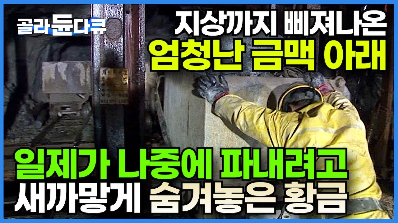 땅 위에 솟아오른 금맥! 그 아래 숨겨진 우리나라 최고의 금광┃일제가 숨겨놓은 한국의 금광┃떨어진 돌멩이조차 함부로 여겨서는 안되는 이유┃황금을 캐는 사람들┃극한직업┃#골라듄다큐