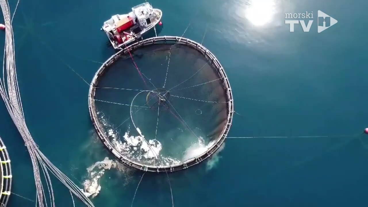 Na što sliči more oko uzgajališta - Cromaris: 