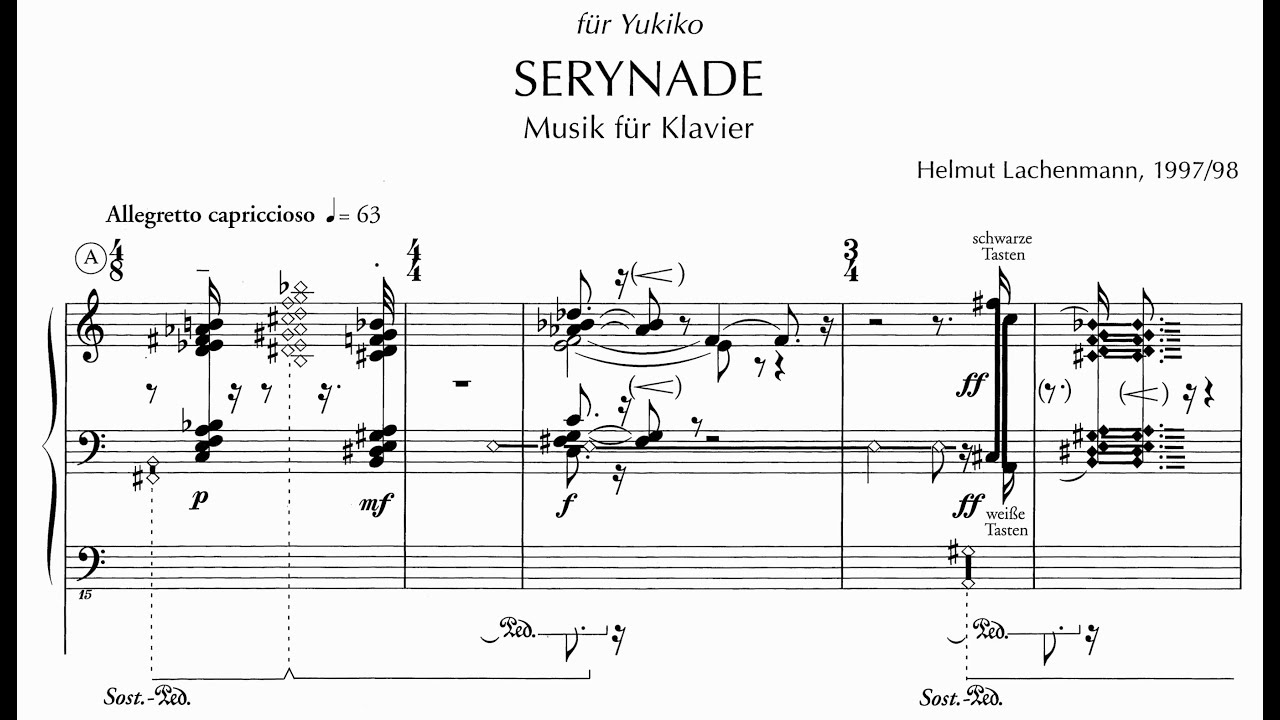 Helmut Lachenmann: Serynade (1997-98)
