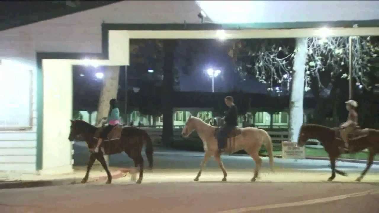 Stampede! Six Injured After Horses Run Wild