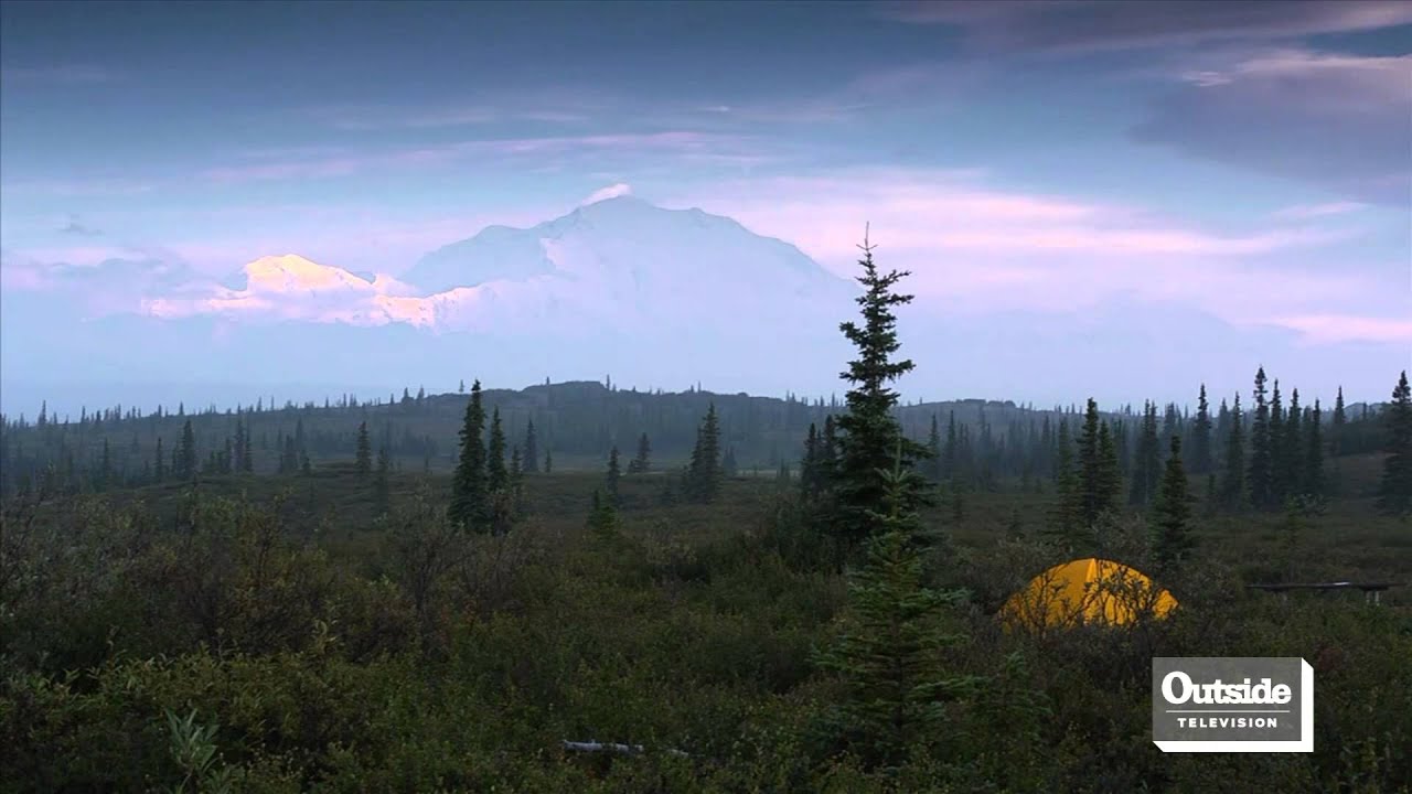 Denali National Park | Motion