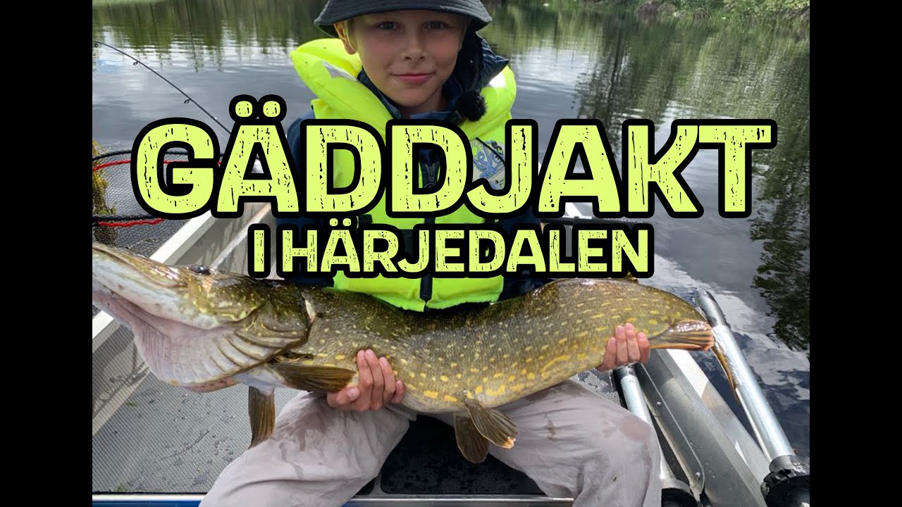 Gäddfiske i Härjedalen