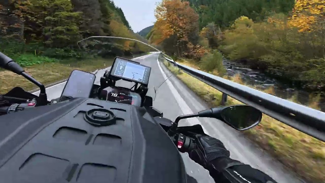 Triebener - Beginning of fall 2025
