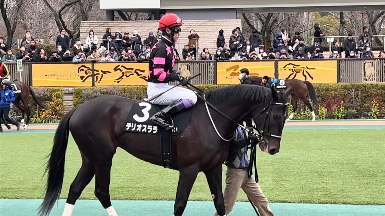 【4歳3勝】初音Sテリオスララ武豊全頭パドック2026年2月10日(火曜) 1回東京4日10R東京競馬場