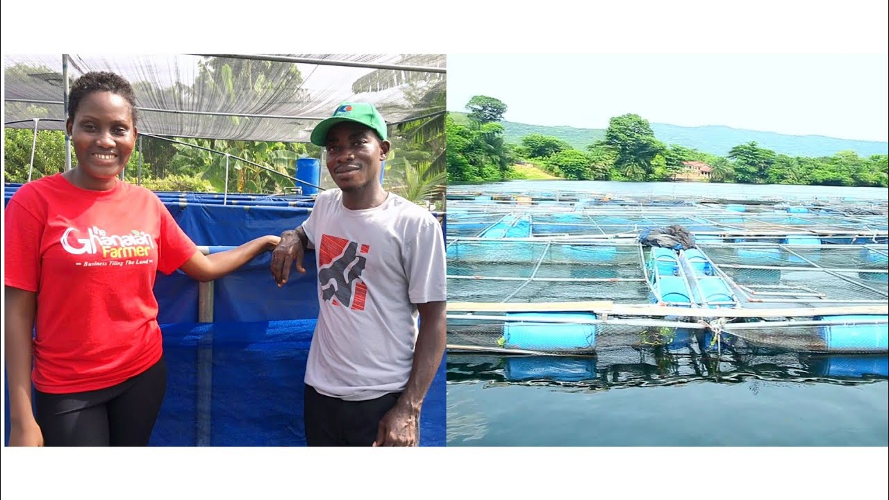 He Started Building Fish Cages After University Graduation || Charges Between 15k to 45k For Each