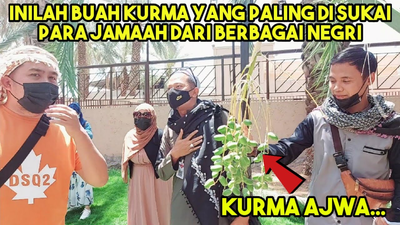 KURMA INILAH YANG SERING DI CARI PARA JAMAAH HAJI & UMROH DARI INDONESIA.