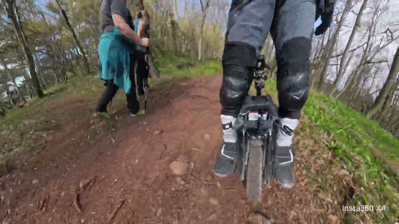 Wienerwald Trail Mugl-Höhe