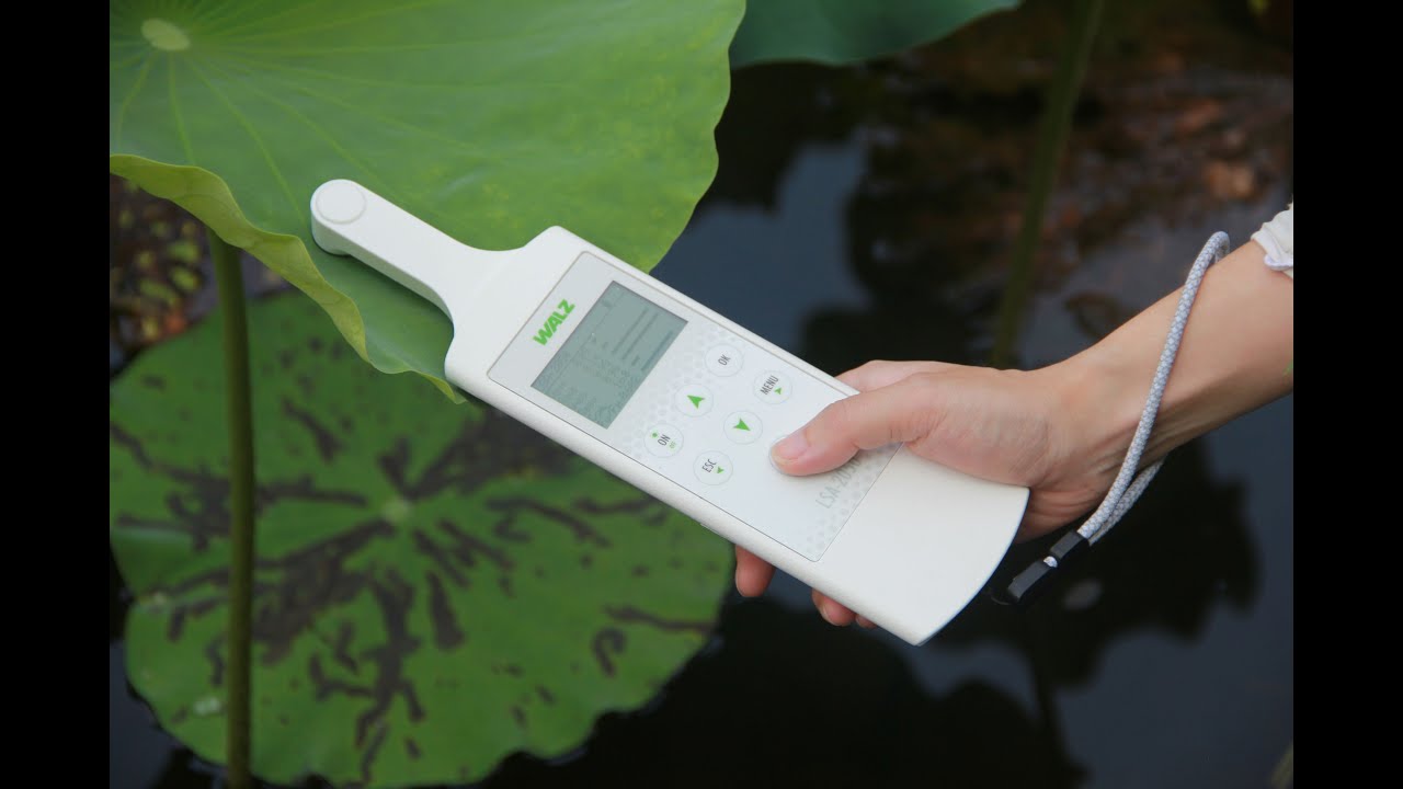 WALZ - Tutorial - Leaf State Analyzer LSA-2050