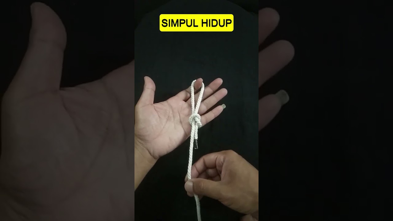 Simpul Hidup Cara Membuat dan Kegunaannya #simpulhidup #simpulpramuka #talitemali