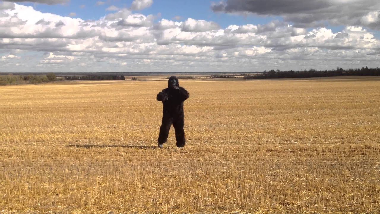 Sasquatch Sighting Tofield Alberta Oct 4, 2014