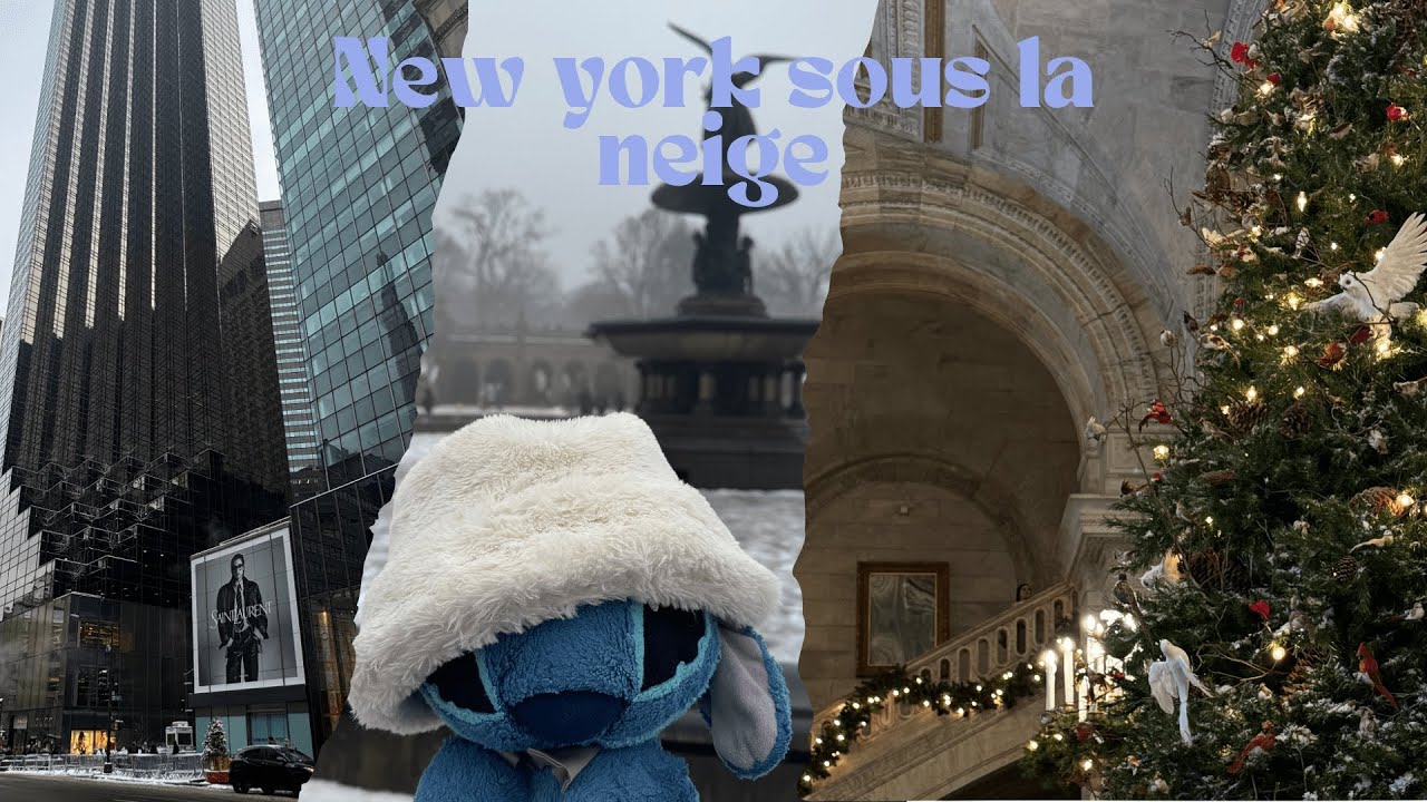 Vlog⏐Une dernière fois New york avant 2026