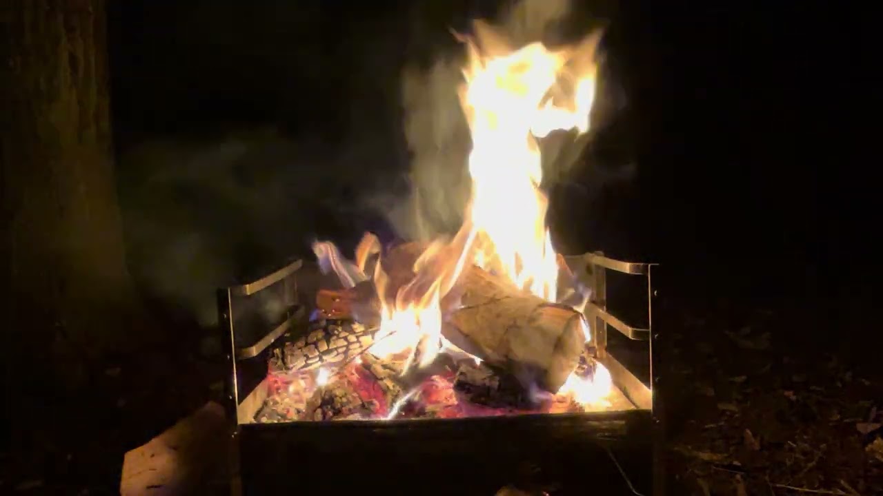 【90分】川の音と杉林の中の焚き火｜静かな夜の自然音　90 Minutes Campfire Sounds by the River | Quiet Forest Night
