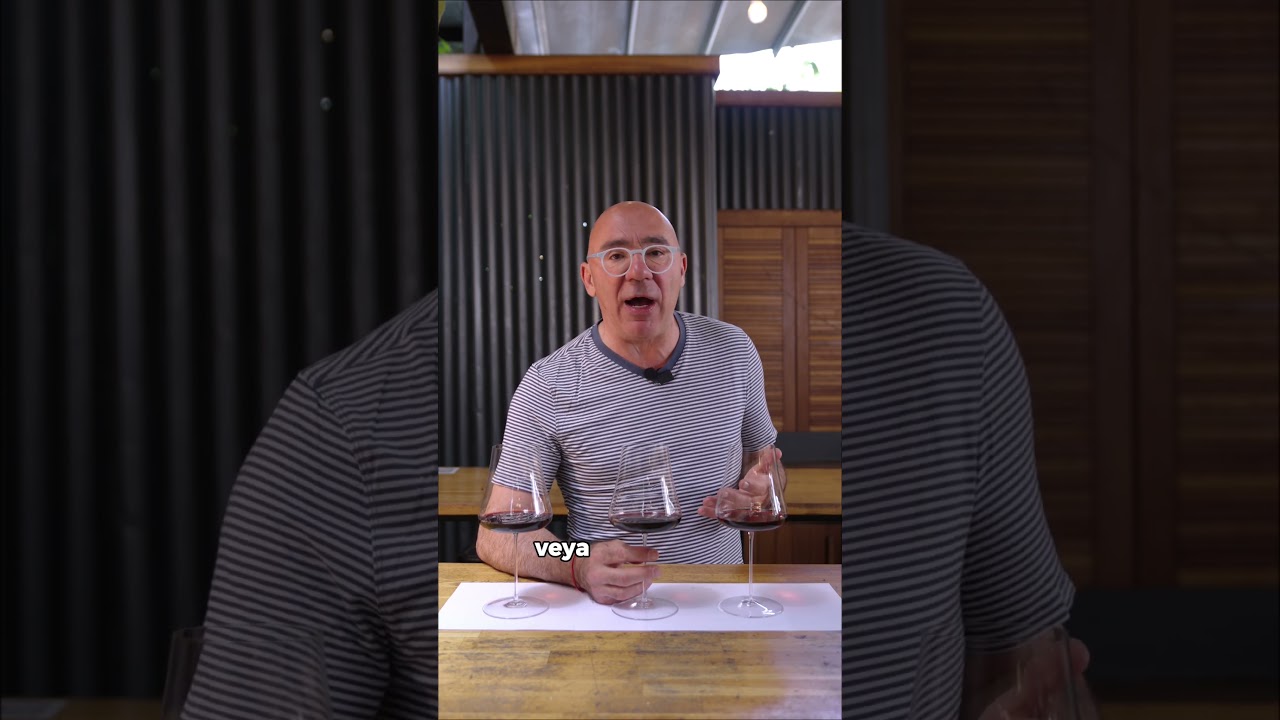 Şarabın rengi ne anlama gelir? Şarabın rengi nasıl okunur? Şarabı renginden anlamak 🍷