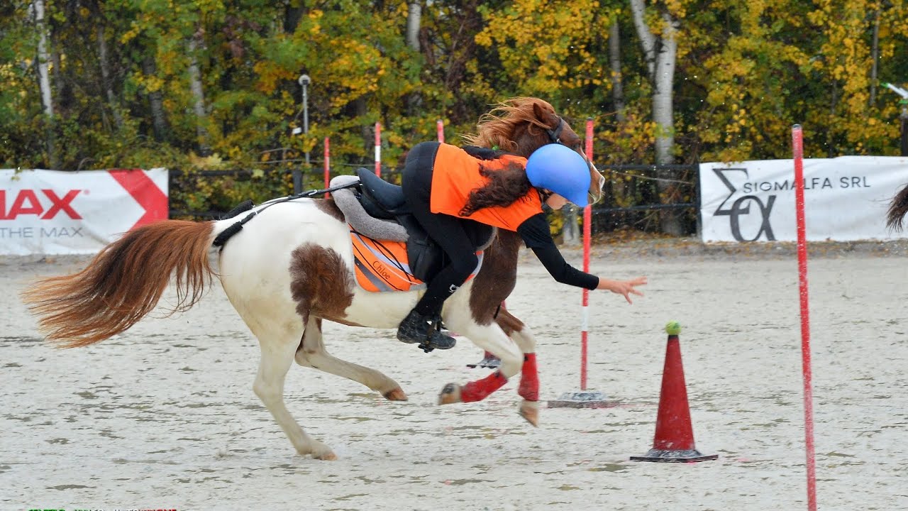 Campionati Italiani Individuali MG 2025 under 12pro Chloe su Chica Bonita ArticoV #MG #mountedgames