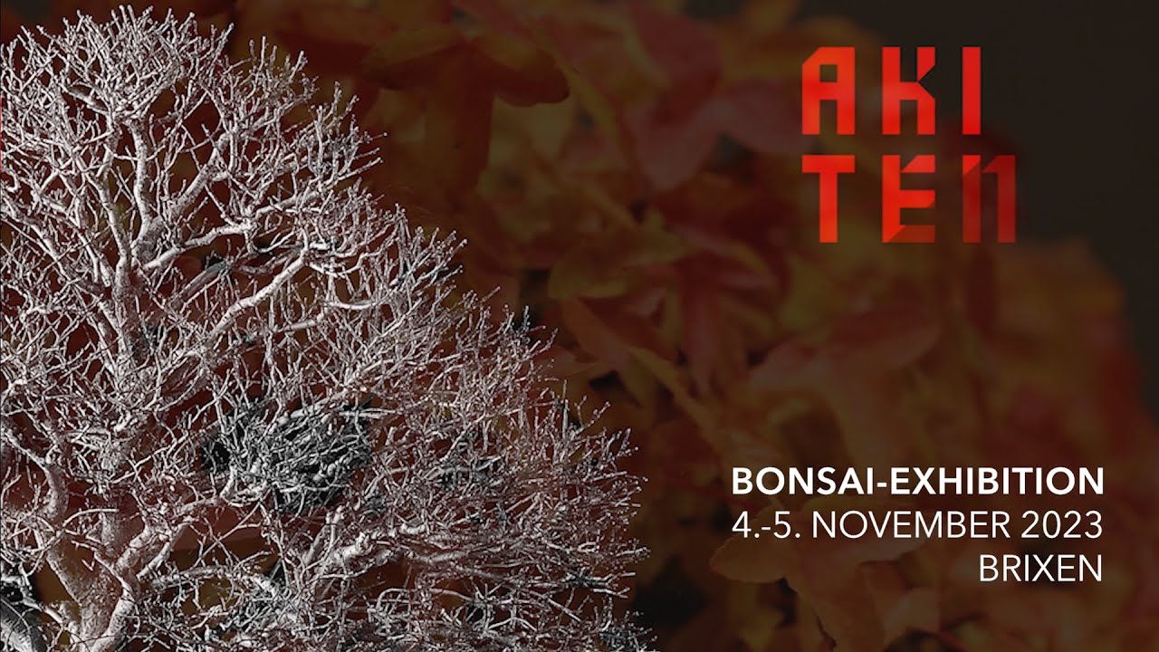 AKI TEN 2023 - The European Autumn Bonsai Exhibition