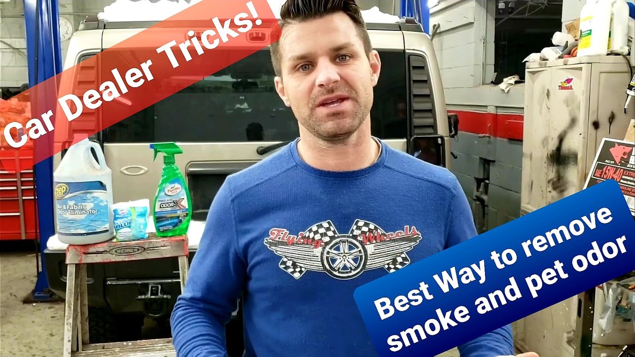 DEALER TRICKS! Best Way to Remove Smoke and Pet Odor