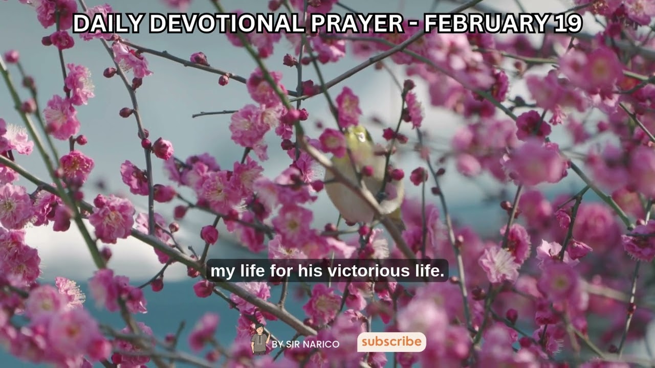 FEBRUARY 19 || DAILY BIBLE READING AND MEDITATIONS