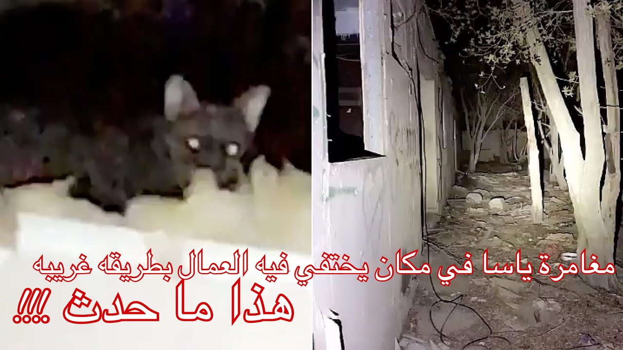 مغامرة ياسا في منطقه يختفي فيها العمال بطريقه غربيه... هذا ما حدث.!!