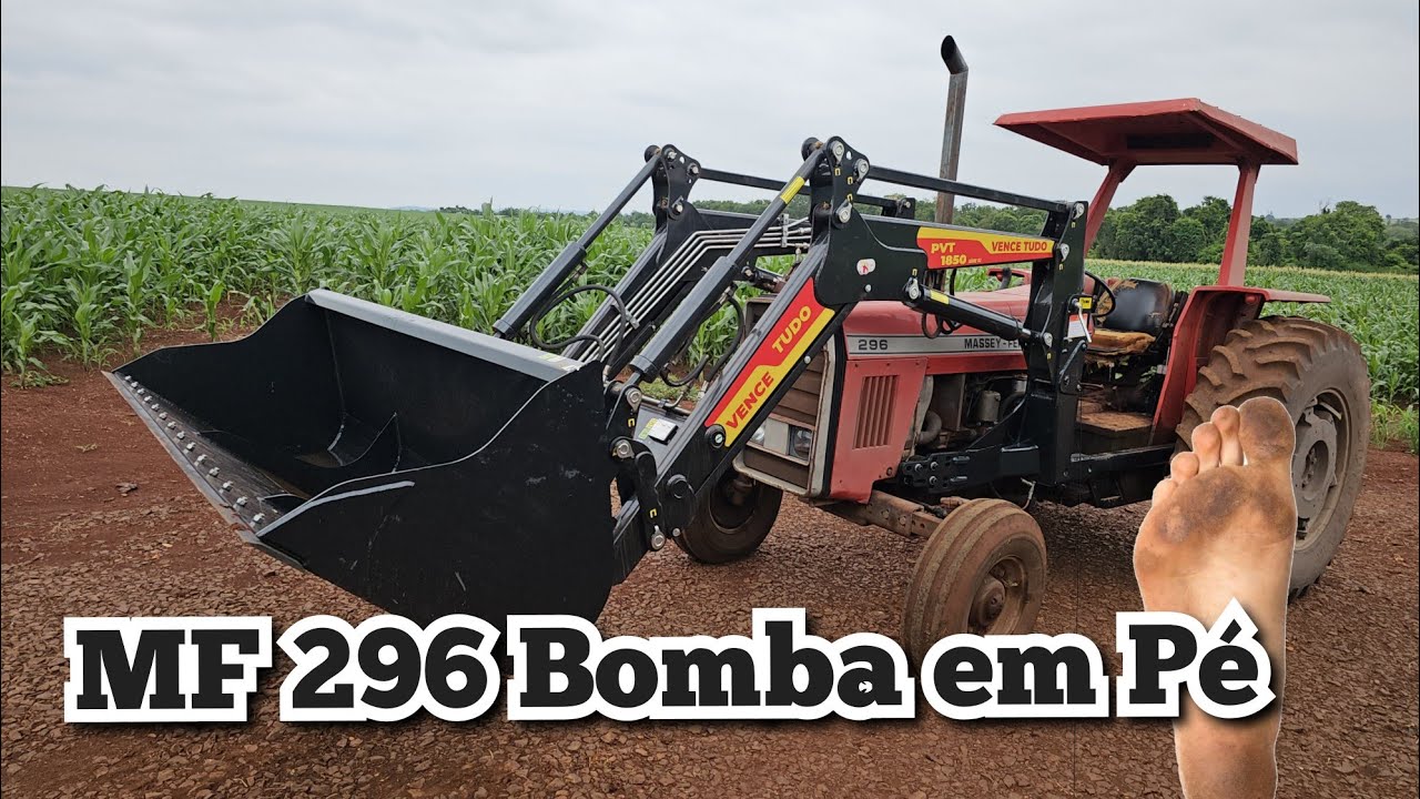 MF 296 Com Motor 6 Cilindros Canadense Bruto Pato Bragado-Pr