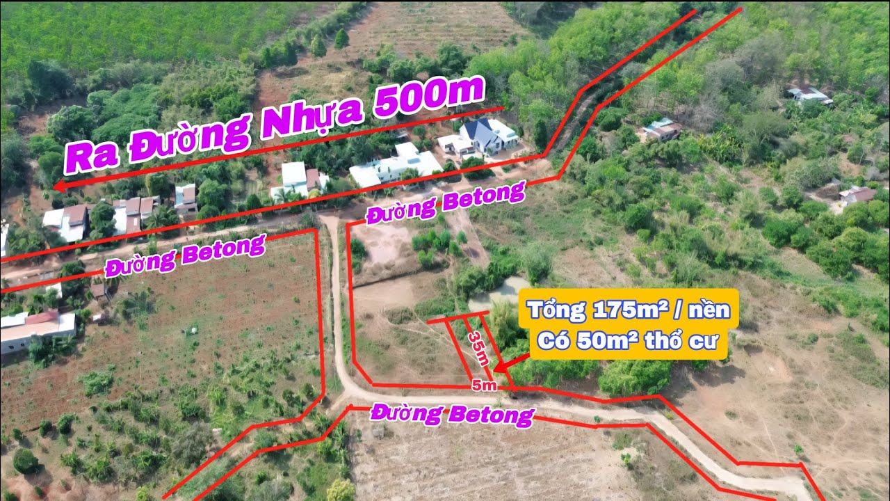 (78)#186TR | Đất Phường An Lộc Dân đông đường thông Cách QL 13 4kmLH 0867251968 @bdsbinhphuoc