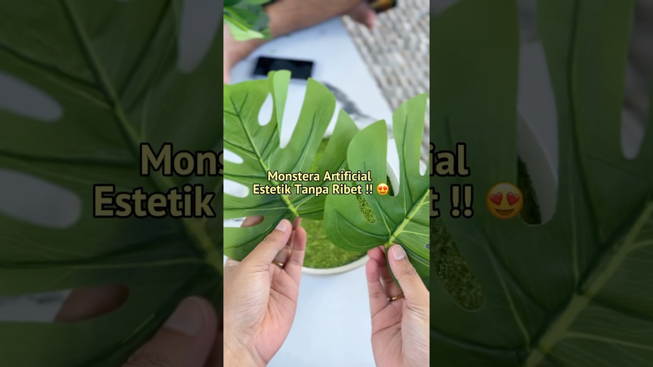 REKOMENDASI TANAMAN HIAS MONSTERA ARTIFICIAL ! SUDUT RUANGAN JADI ESTETIK !!