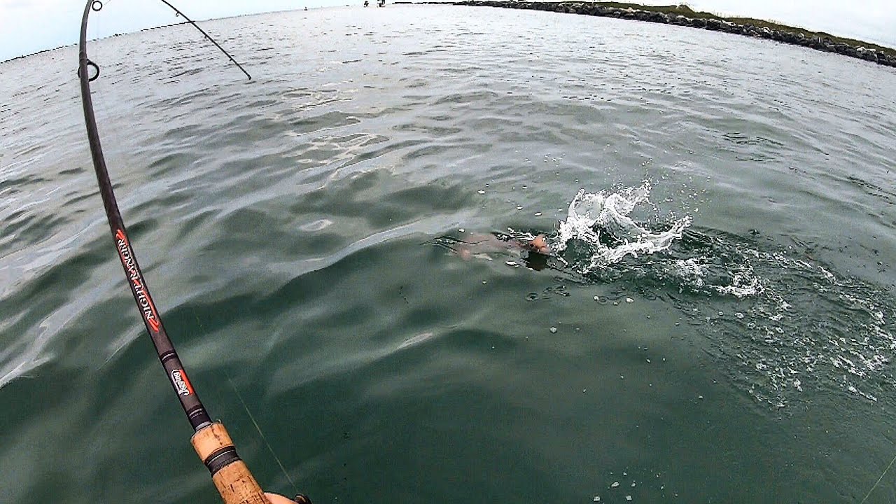 Jetty To Backwater - Flounder Pursuit!