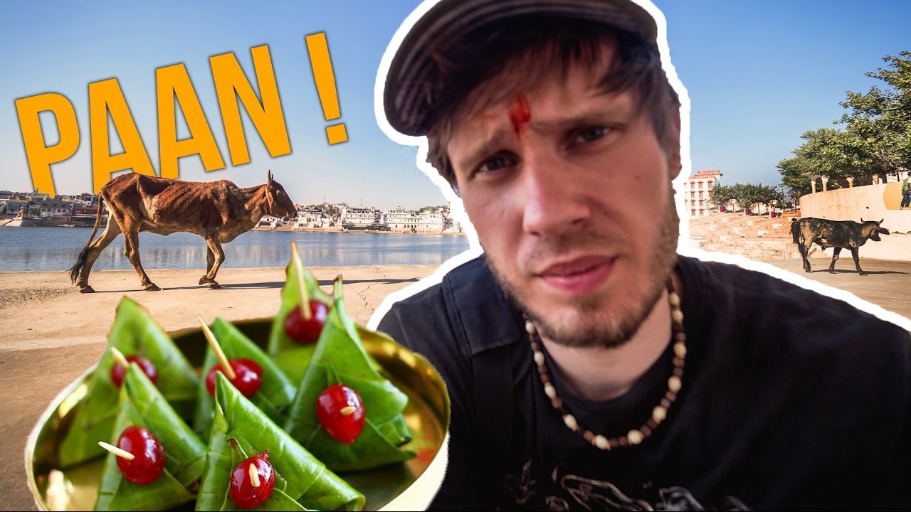 Czwarta najpopularniejsza używka świata i kropka na czole - INDIE VLOG #5 - Kołem Się Toczy