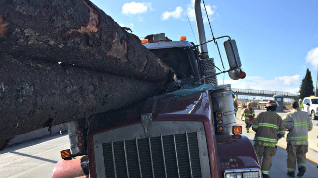 Driver seriously hurt as logging trucks crash on highway