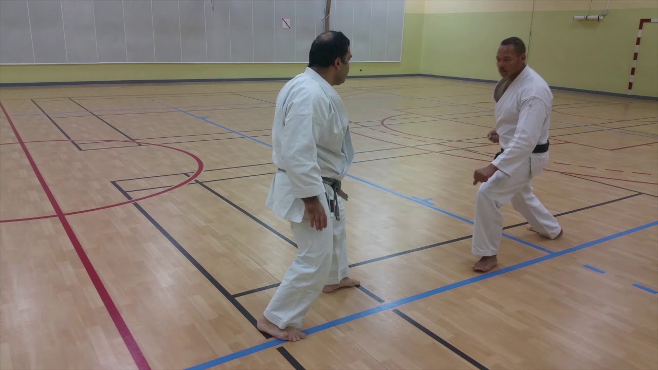 France Shotokan Paris Vaugirard - Oi tsuki continu