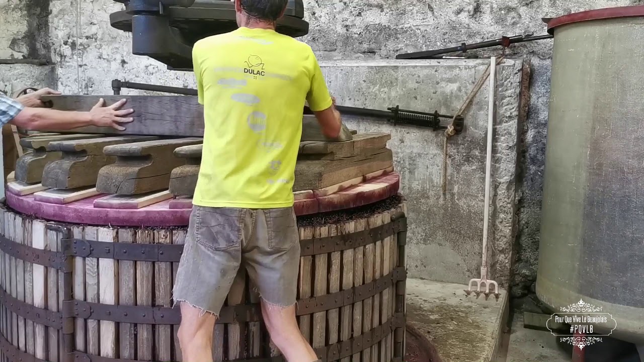 Usage du pressoir à l'ancienne à Marchampt !