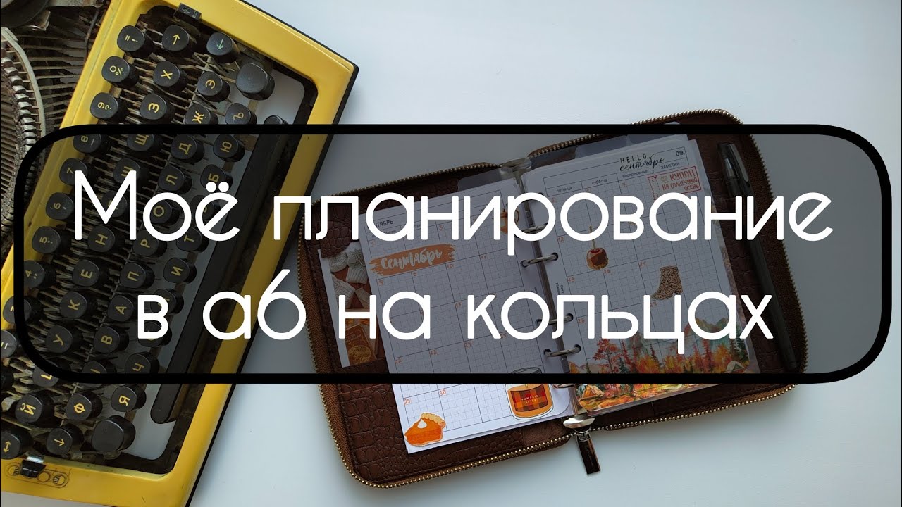 Моё планирование в а6 на кольцах в обложке zip