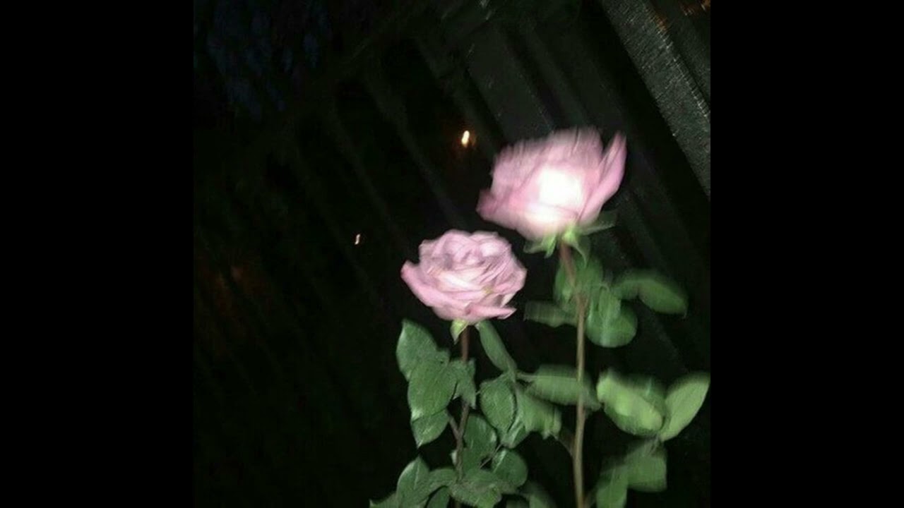 CandFumezUnCuiMaGandescLaTine (prod. soprettyanxiety x gusuck)