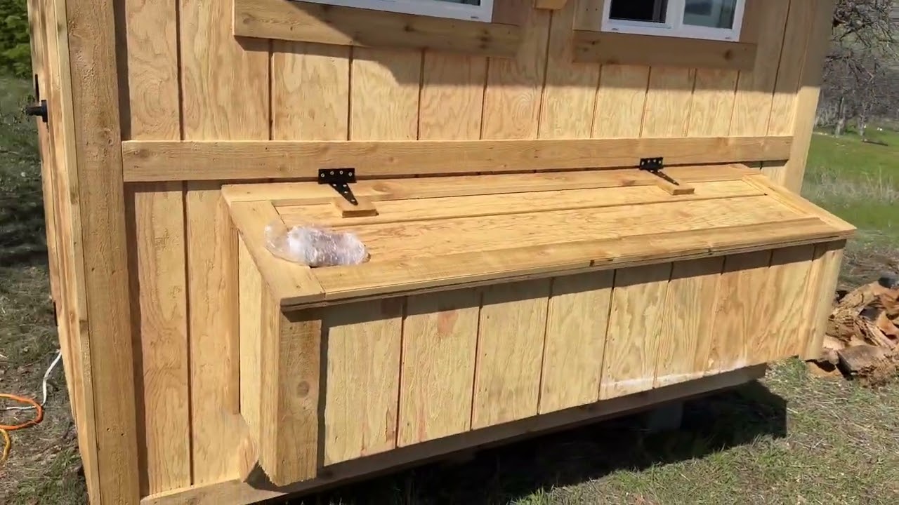New chicken coop with nesting boxes and little chicks