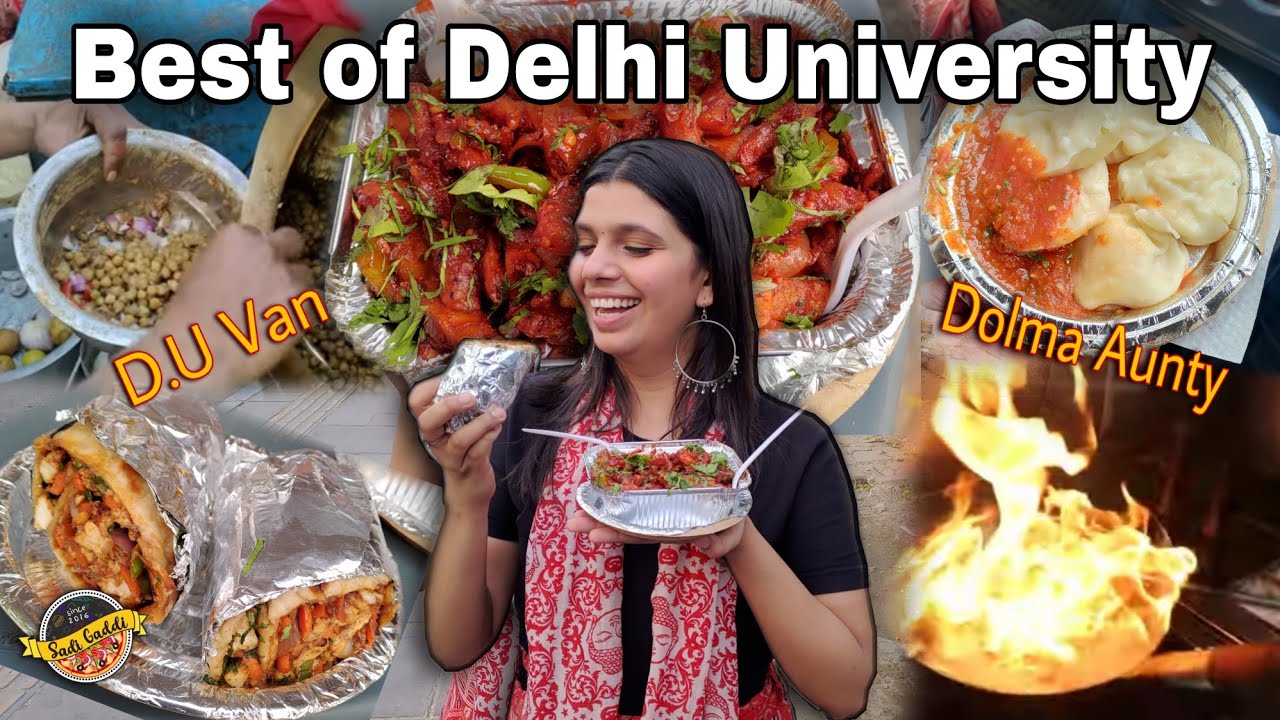BEST Food in Delhi University North Campus | Hidden Gems | Street Food Episode 1