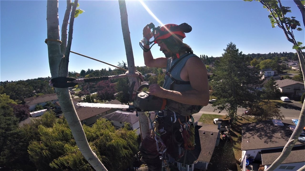 Tree Rigging - Skinny Tops
