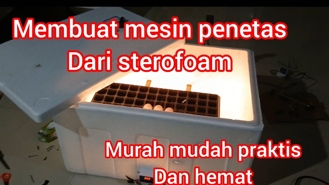 membuat mesin penetas telur dari sterofoam mudah murah praktis dan hemat listrik