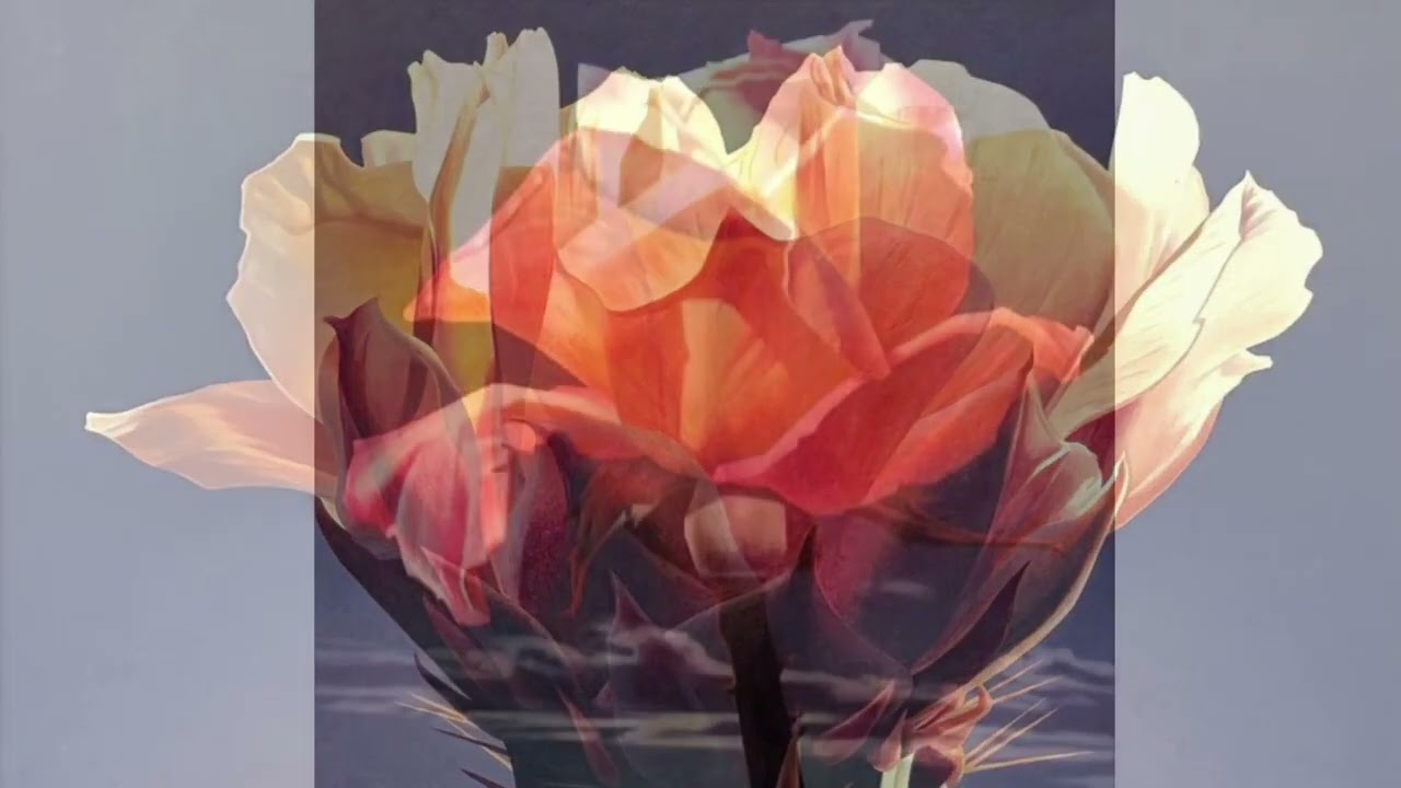 Ed Mell  (1942 -        )