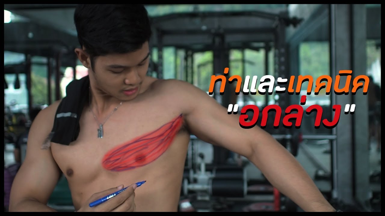 ท่าและเทคนิคในการสร้างอกล่าง [Lower Chest]