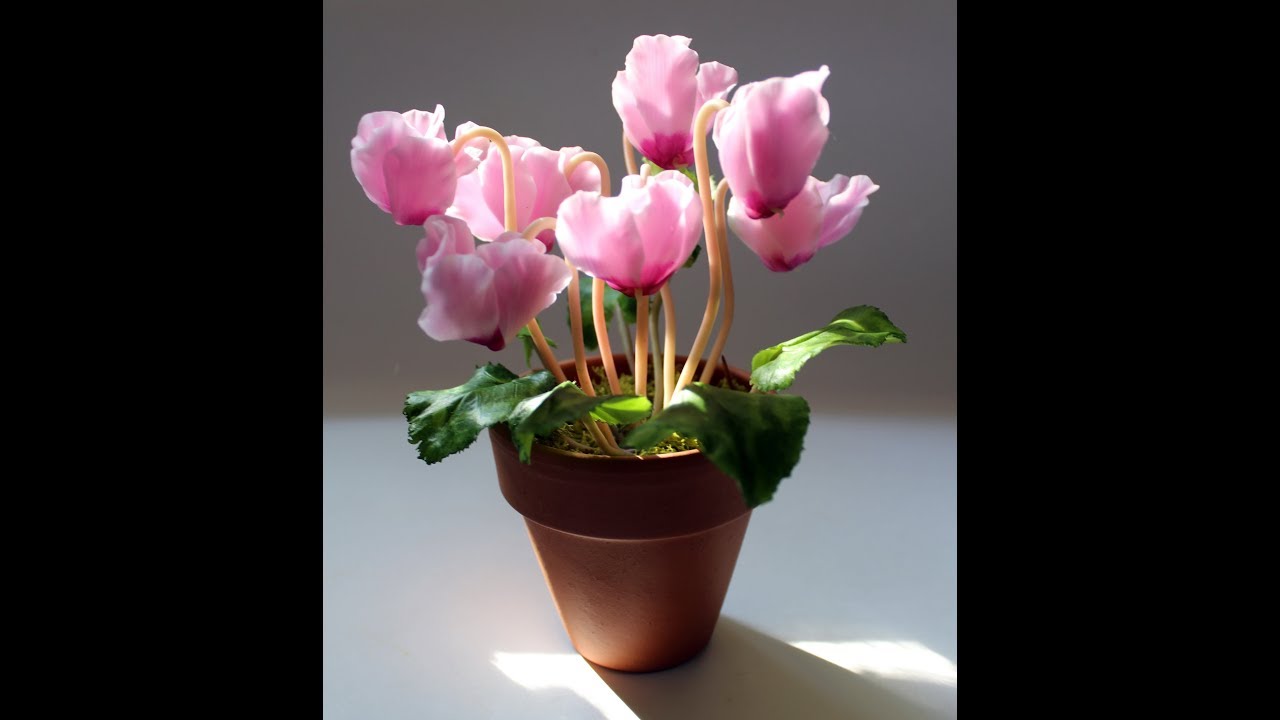 Лепка цветка цикламена из полимерной глины