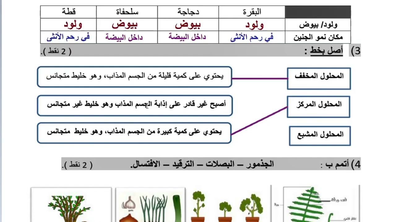 المستوى الخامس النشاط العلمي الفرض 1 الدورة 2 النموذج 1التصحيح