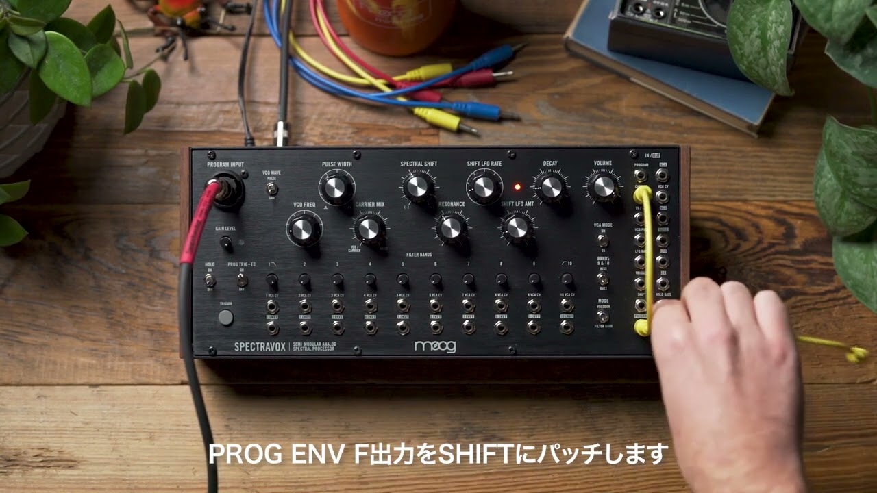 Spectravox I Recreating Moogerfooger Effects for Guitar - 日本語字幕付き
