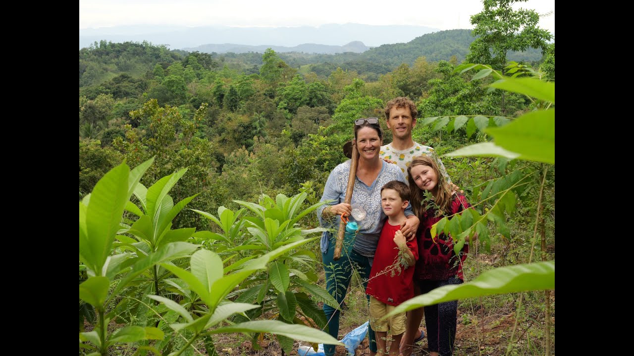 2 Weeks in a rainforest: The Reality of Volunteering as a Family